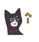 オールねこ（個別スタンプ：8）