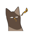 オールねこ（個別スタンプ：9）