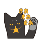 オールねこ（個別スタンプ：13）