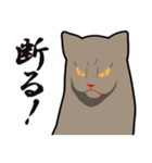 オールねこ（個別スタンプ：16）