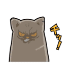 オールねこ（個別スタンプ：17）