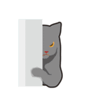 オールねこ（個別スタンプ：22）