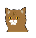 オールねこ（個別スタンプ：24）