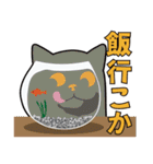オールねこ（個別スタンプ：34）