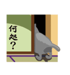 オールねこ（個別スタンプ：40）