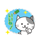 ねこたんのメモ書き（個別スタンプ：21）