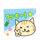 ねこたんのメモ書き（個別スタンプ：24）