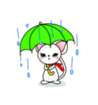スイート キャット（個別スタンプ：30）
