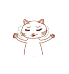 白猫しろねこすたんぷ（個別スタンプ：12）