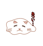 白猫しろねこすたんぷ（個別スタンプ：15）