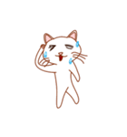 白猫しろねこすたんぷ（個別スタンプ：22）