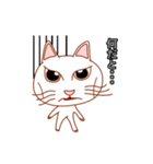 白猫しろねこすたんぷ（個別スタンプ：27）