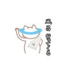 白猫しろねこすたんぷ（個別スタンプ：37）