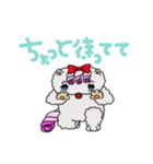 ペルシャ猫のチャミ（個別スタンプ：34）
