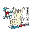 降臨せよ！我がモンスター！（個別スタンプ：7）