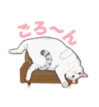 わたしのカウチ（個別スタンプ：6）