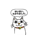 ちょっと嫌な猫（個別スタンプ：1）