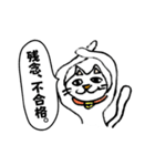 ちょっと嫌な猫（個別スタンプ：18）