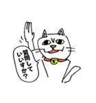 ちょっと嫌な猫（個別スタンプ：29）