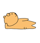 くまとねこぴゃ～ら（個別スタンプ：23）