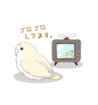 ちゅんこ日和。（個別スタンプ：27）