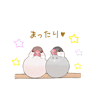 ちゅんこ日和。（個別スタンプ：40）