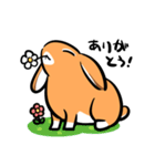 ゆるだるロップうさぎ（個別スタンプ：1）