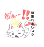 丁寧に話す猫（個別スタンプ：14）