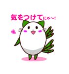 ねこたま1 日常用（個別スタンプ：20）
