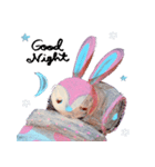 pink bunny＆blue bear（個別スタンプ：25）