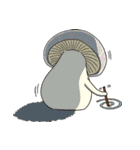 これはきのこ 1（個別スタンプ：3）