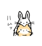 生意気ポメウサギ（個別スタンプ：35）
