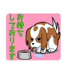 アーニードッグ（個別スタンプ：7）