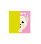 Dog's3（個別スタンプ：21）