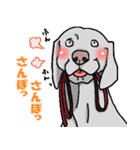 ワイマラナーといっしょ♪（個別スタンプ：31）