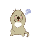 The daily life of small sea otters（個別スタンプ：5）