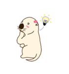 The daily life of small sea otters（個別スタンプ：11）