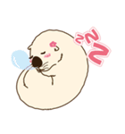 The daily life of small sea otters（個別スタンプ：14）