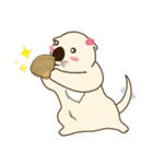 The daily life of small sea otters（個別スタンプ：17）
