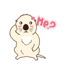 The daily life of small sea otters（個別スタンプ：28）