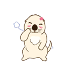 The daily life of small sea otters（個別スタンプ：36）