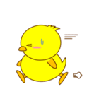 ひよこのピヨ（個別スタンプ：26）