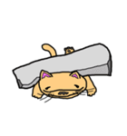 アイドルキャット（個別スタンプ：38）