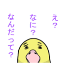 見下し犬うさぎインコ（個別スタンプ：12）