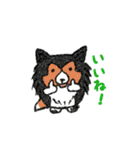 たまいぬ（個別スタンプ：18）