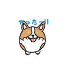 たまいぬ（個別スタンプ：20）