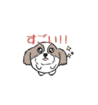 たまいぬ（個別スタンプ：22）