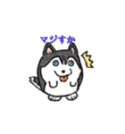たまいぬ（個別スタンプ：36）