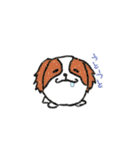 たまいぬ（個別スタンプ：39）