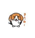 たまいぬ（個別スタンプ：40）